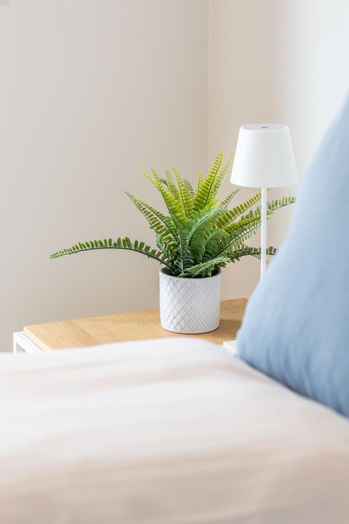 Appartement De Branding A21